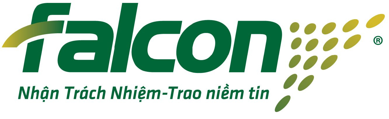 CÔNG TY FALCON HẢI DƯƠNG HOẠT ĐỘNG TRONG KHU CÔNG NGHIỆP CHUYÊN NGHIỆP HIỆN ĐẠI