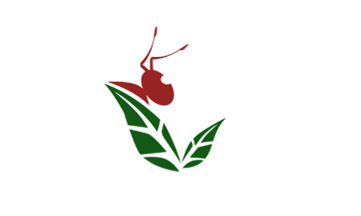 Công Ty TNHH Kiến Vương