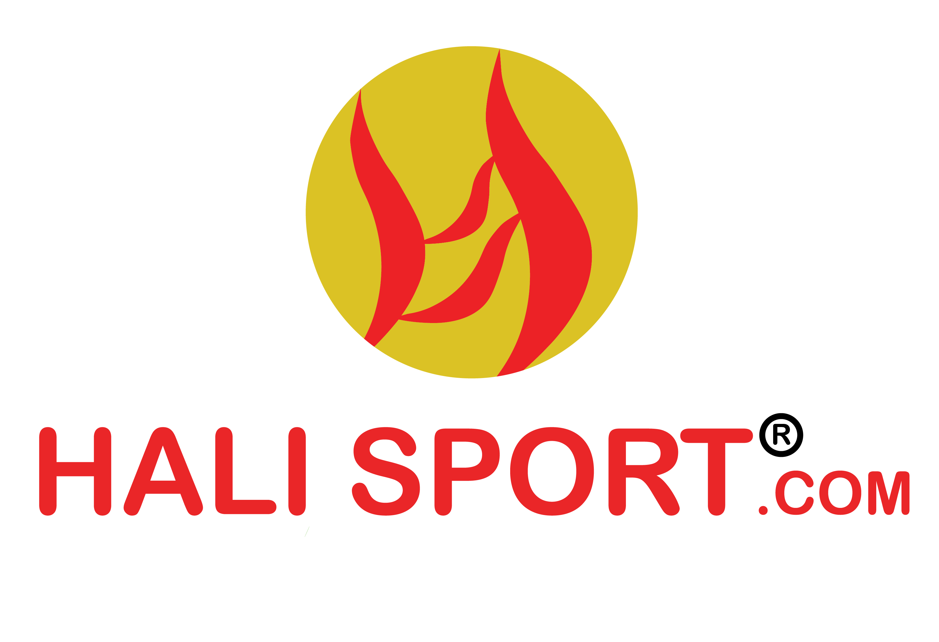 Công Ty TNHH Thể Thao Hali