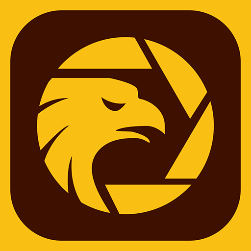 Công Ty Tnhh Wikifx