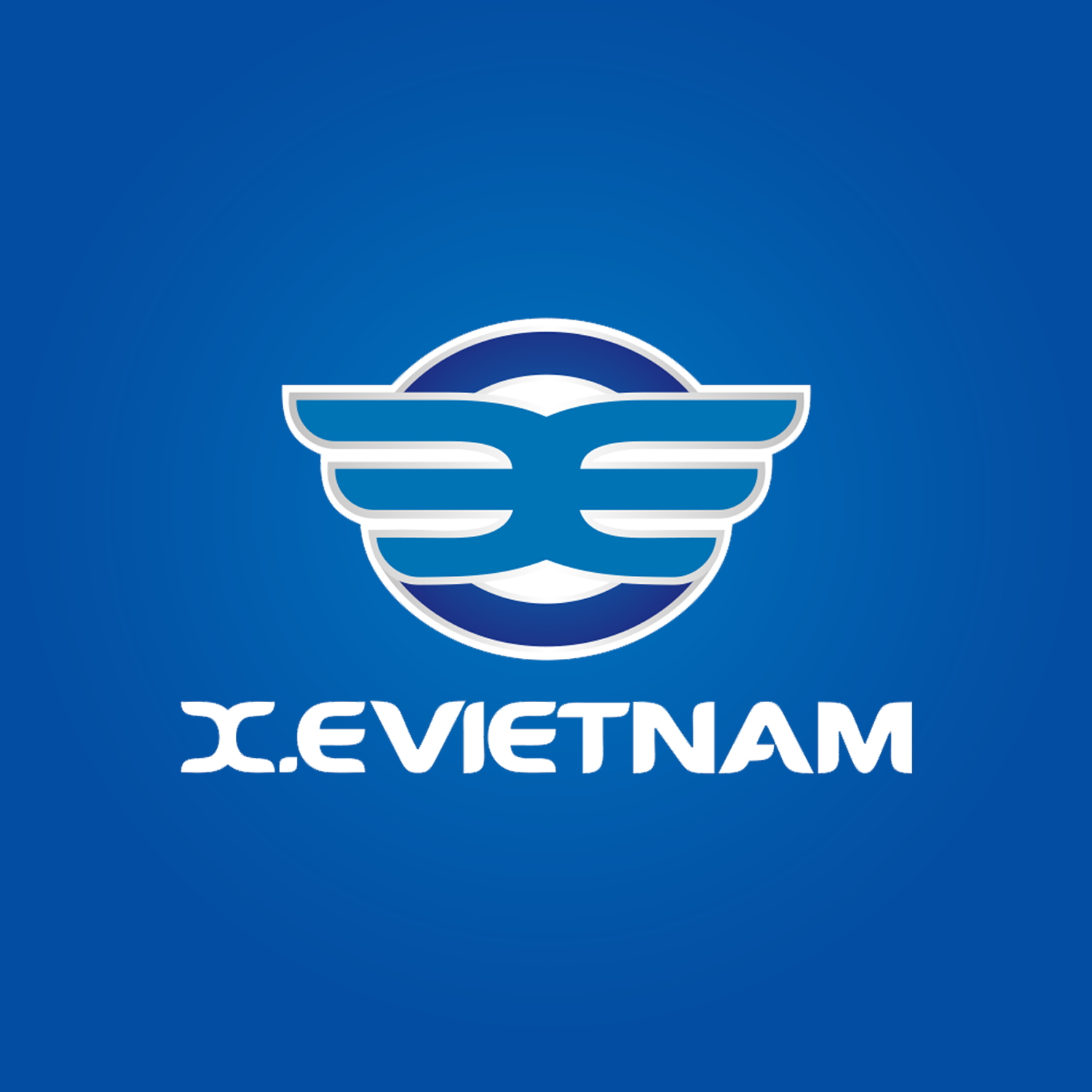 Công Ty TNHH X.E Việt Nam