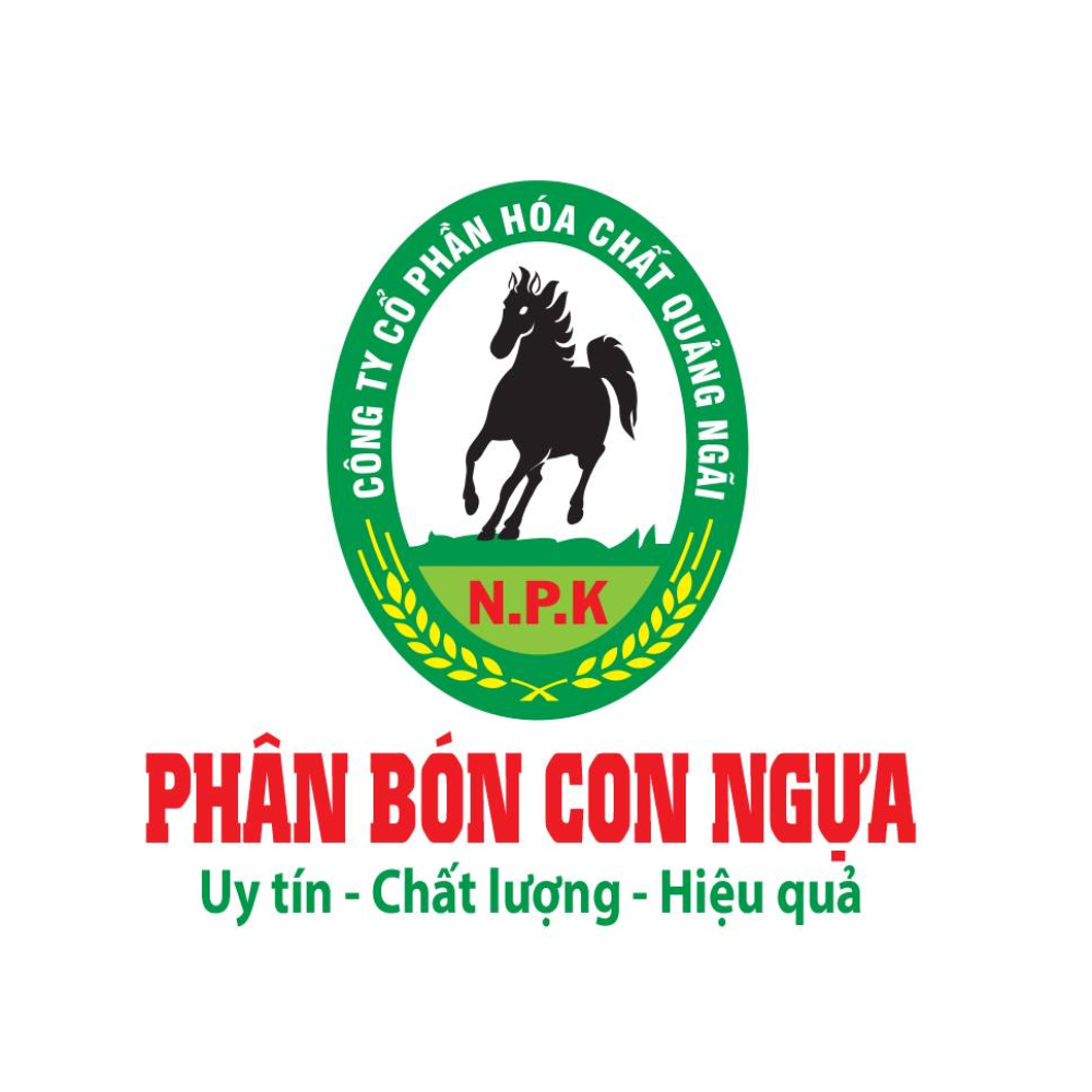 Công Ty CP Hóa Chất Quảng Ngãi