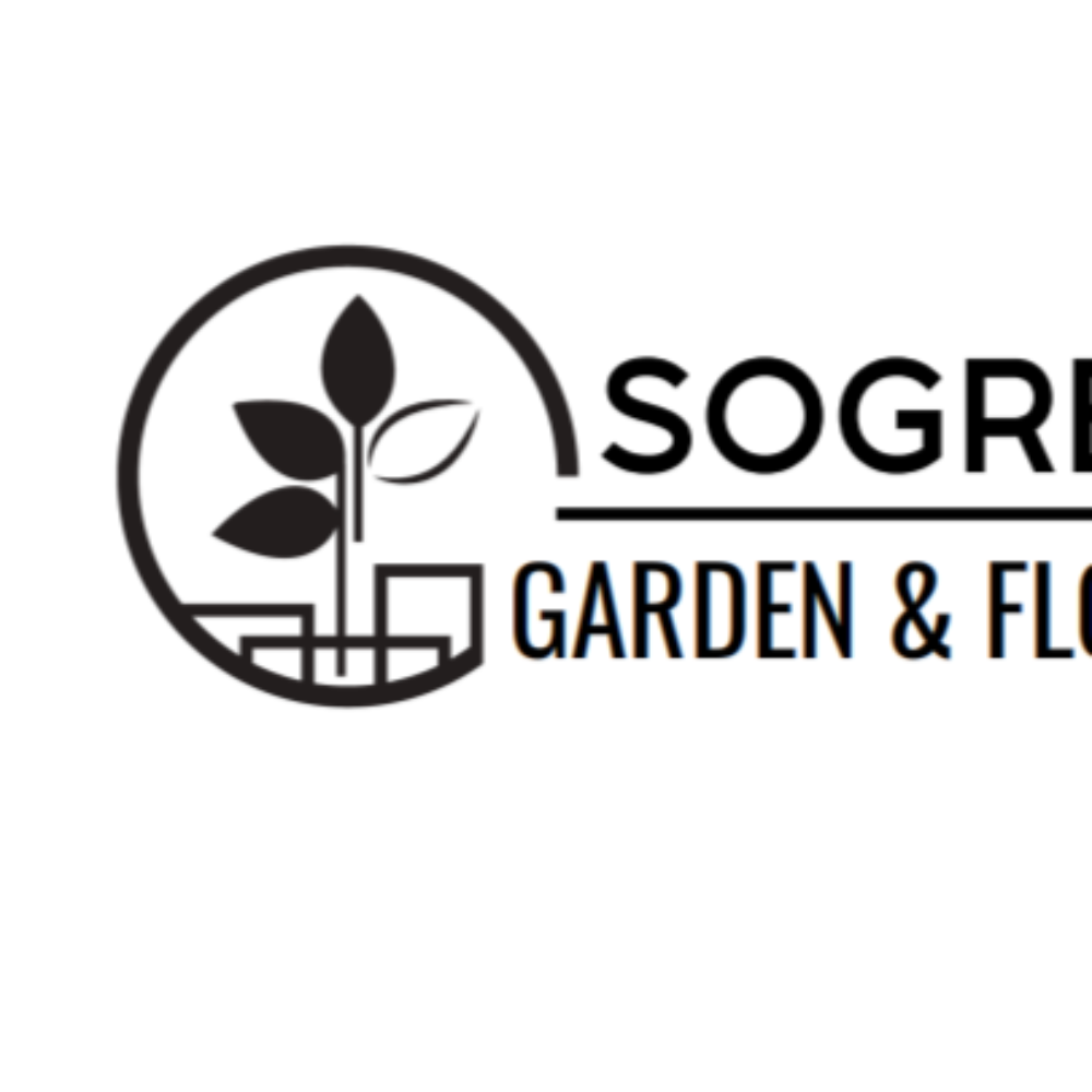 Công Ty TNHH Thiết Kế Và Xây Dựng Đào Nguyên