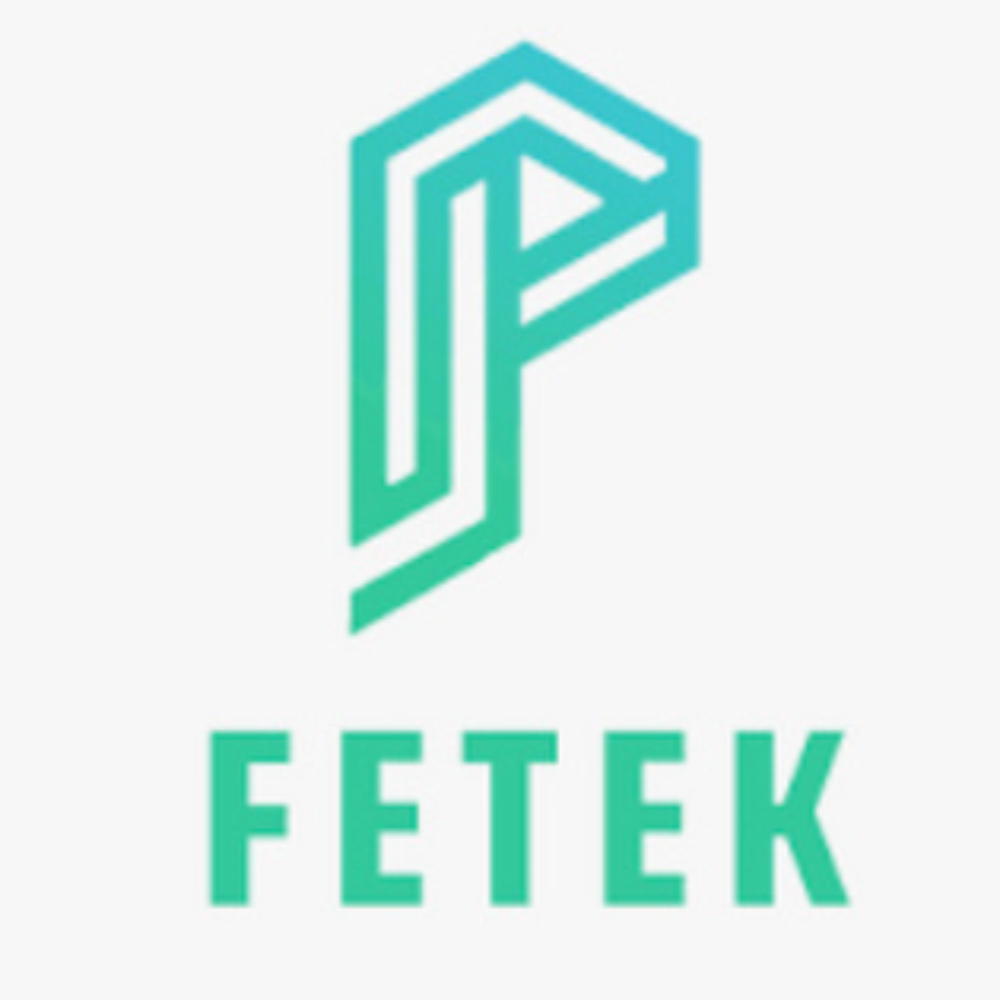 Công Ty TNHH Fetek Việt Nam