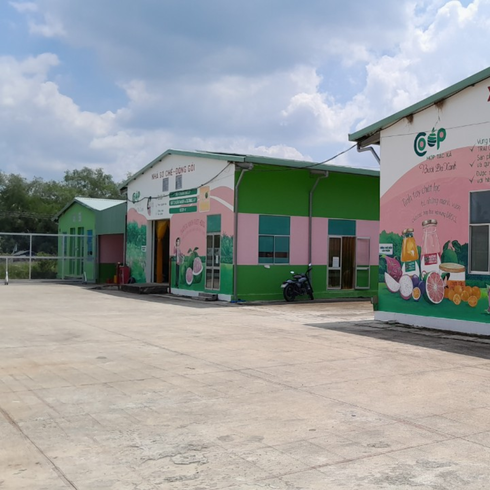 Hợp Tác Xã Nông Nghiệp Bưởi Da Xanh Bến Tre