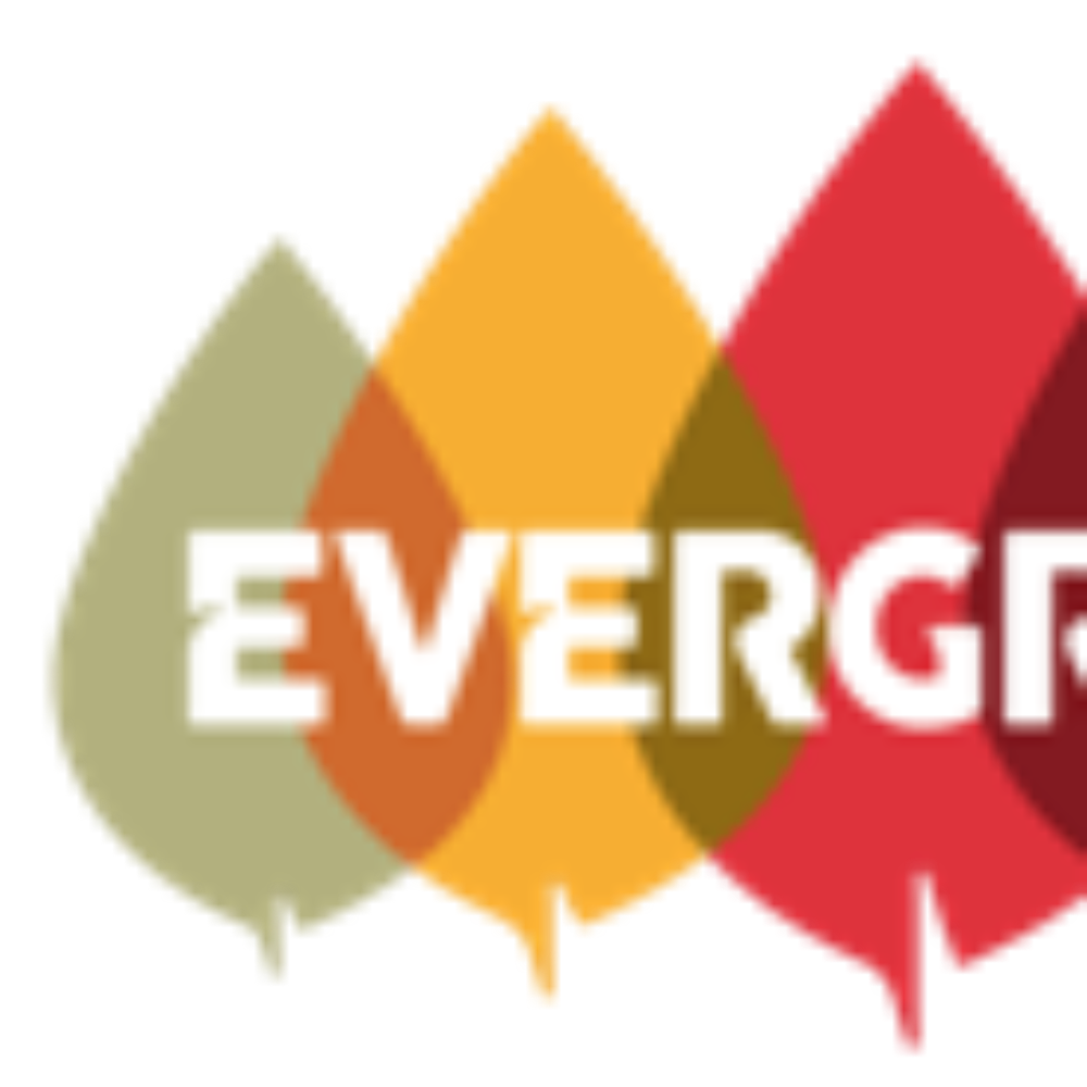 Công Ty Cổ Phần Evergreen Đầu Tư (Khu Đô Thị Ecopark)