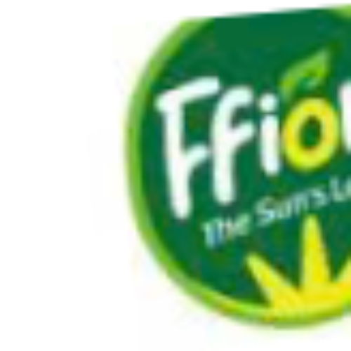 Công Ty Cổ Phần Ffion