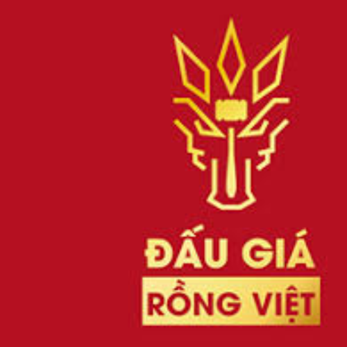 Công Ty Đấu Giá Hợp Danh Rồng Việt