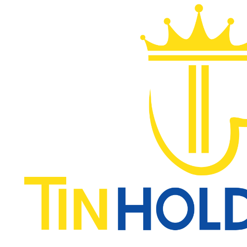 Công Ty TNHH Tư Vấn Doanh Nghiệp Tin Holdings