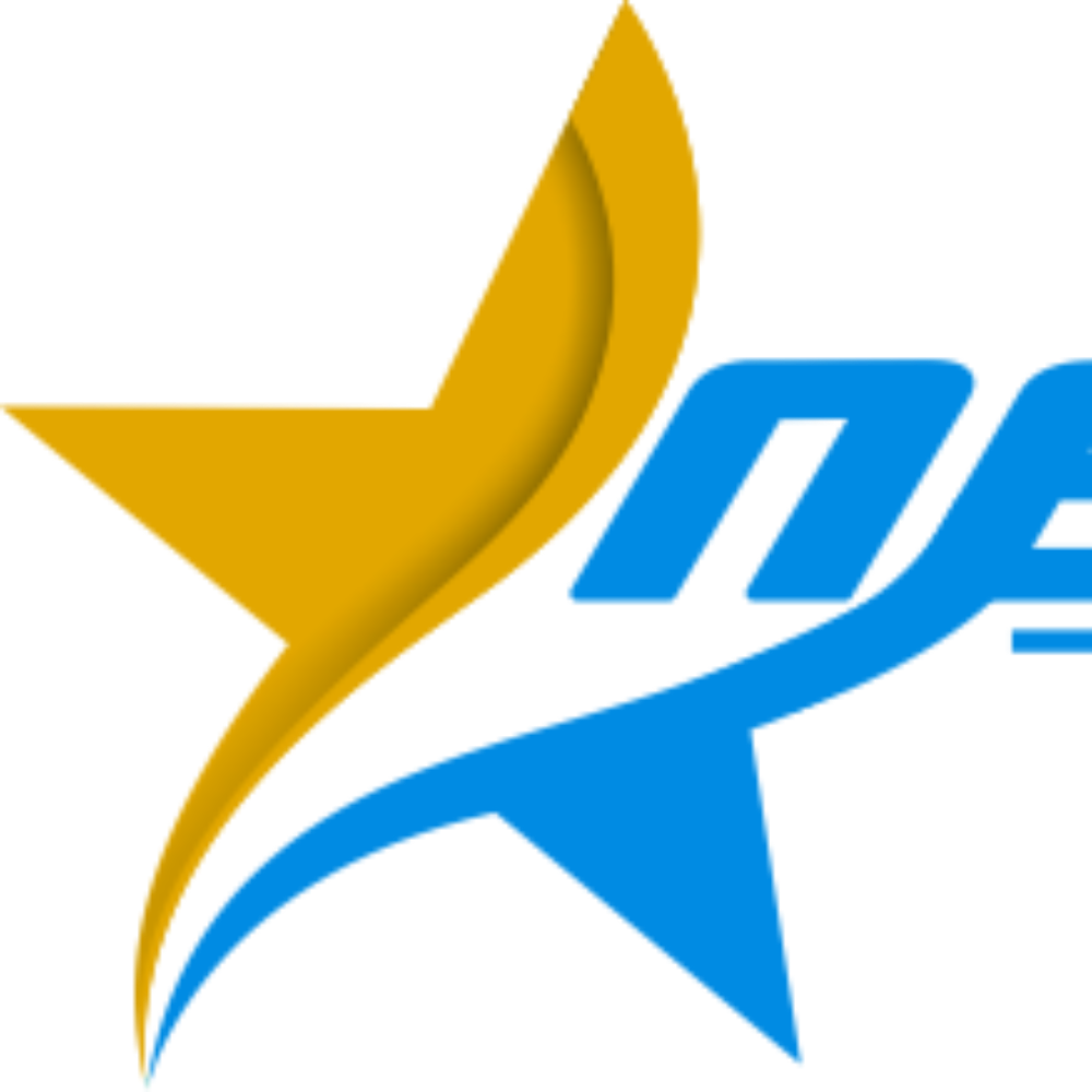 CÔNG TY CỔ PHẦN TẬP ĐOÀN NGÔI SAO MỚI