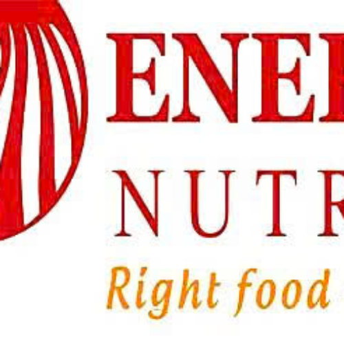 CHI NHÁNH CÔNG TY CỔ PHẦN ENERIGHT VIỆT NAM - NHÀ MÁY ENERIGHT