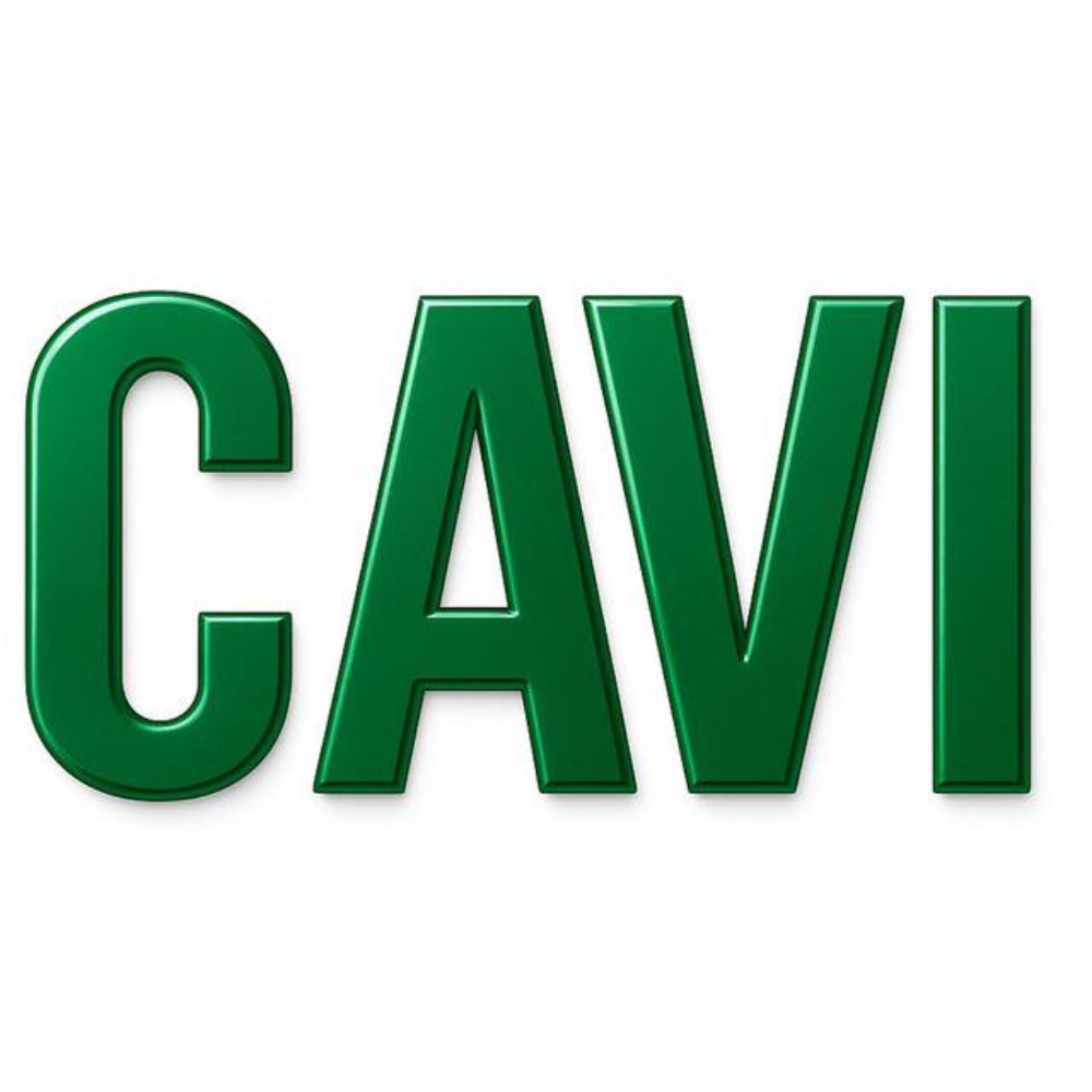 Công Ty TNHH Cavi Logistics