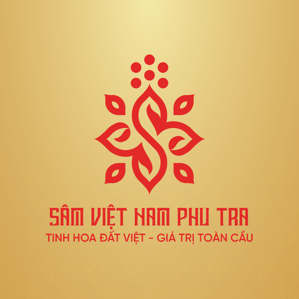 CÔNG TY CỔ PHẦN TẬP ĐOÀN SÂM VIỆT NAM - VNG