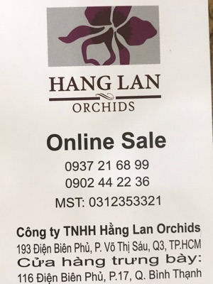 Công Ty TNHH Hằng Lan Orchids