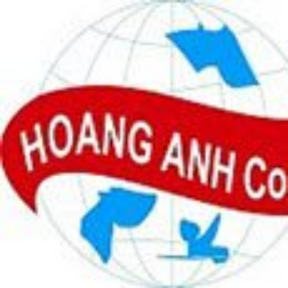 Công Ty TNHH Thép Và Xử Lý Nhiệt Hoàng Anh