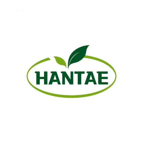 Công Ty TNHH Hantae Enterprise