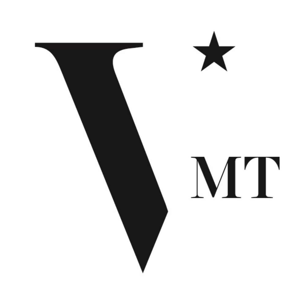 Công Ty TNHH Giải Pháp Vmt