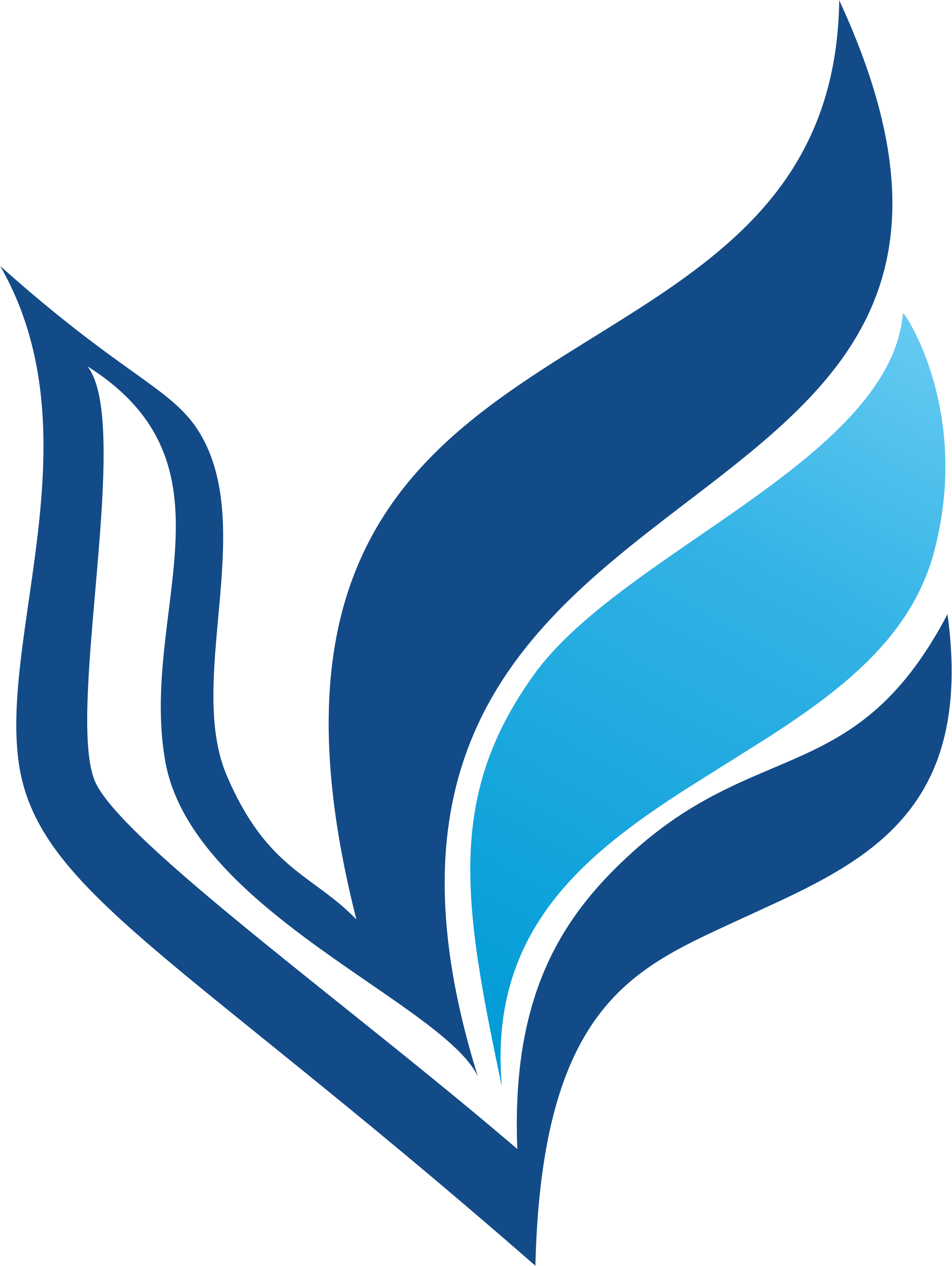 Công Ty Cổ Phần Quốc Tế Việt Hồng