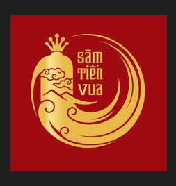 Công Ty Cổ Phần Công Nghệ Quốc Tế Sâm Tiến Vua