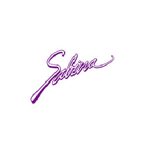 Công Ty TNHH SBN (Việt Nam)