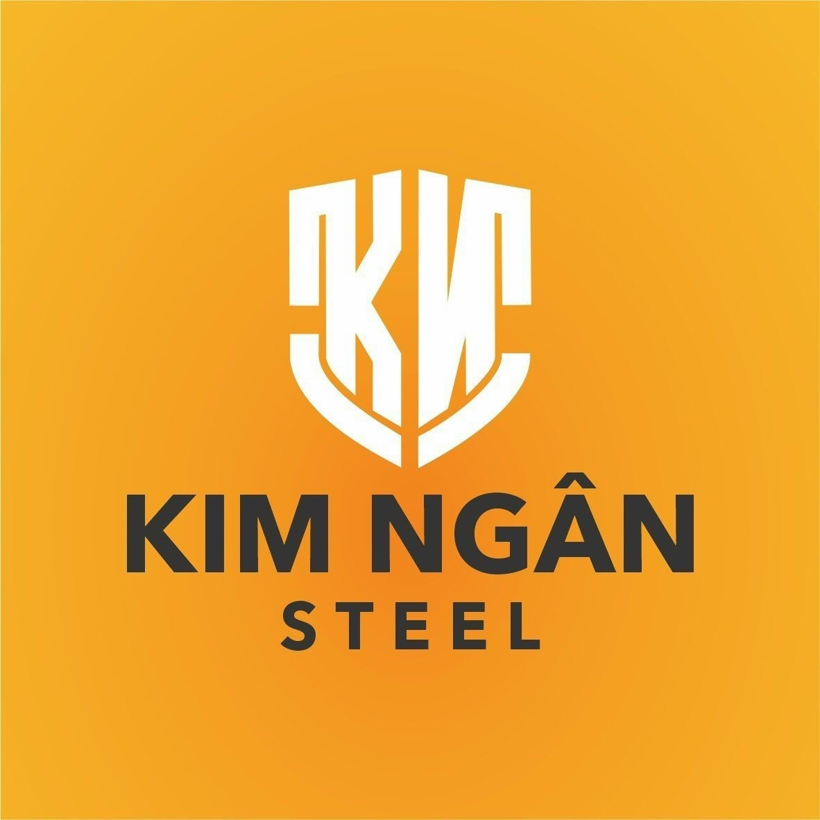 Công Ty TNHH Tôn Thép Kim Ngân
