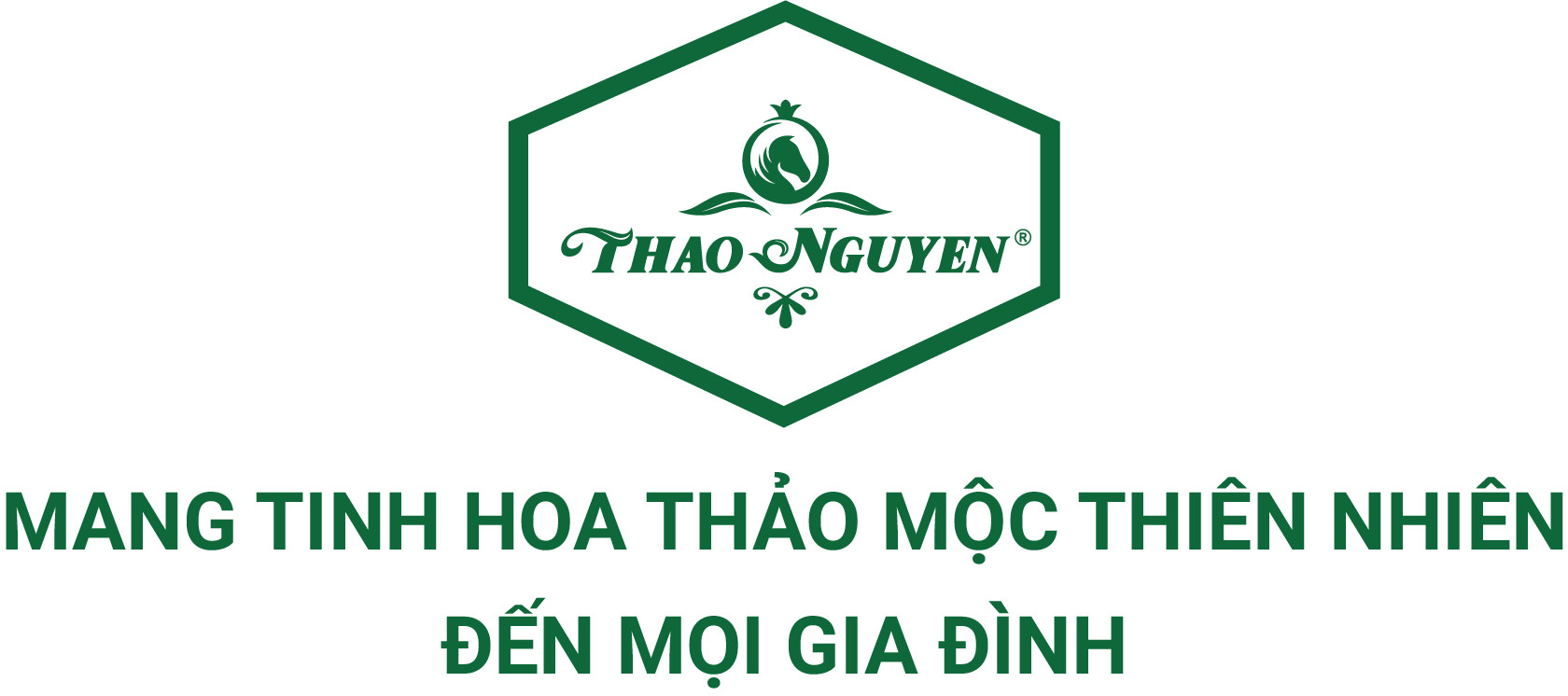 HỘ KINH DOANH TINH DẦU THẢO NGUYÊN