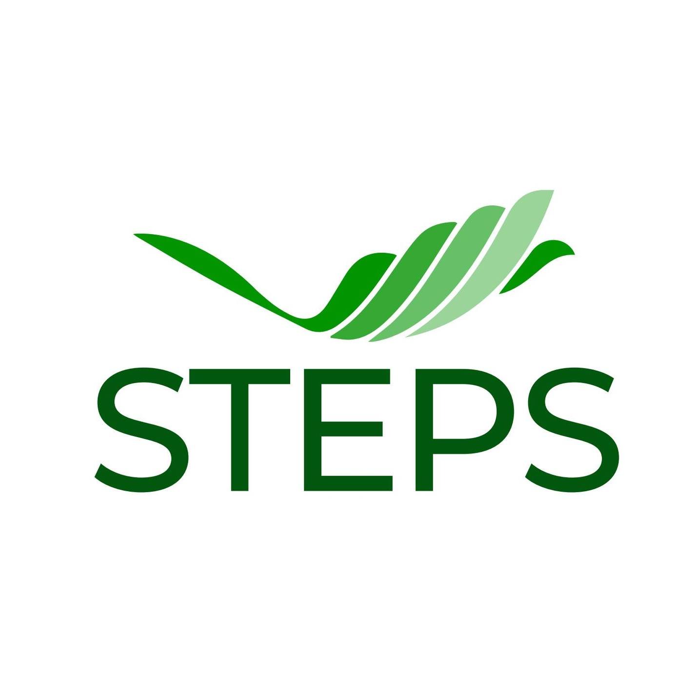 Công Ty TNHH Multi Tech Solution