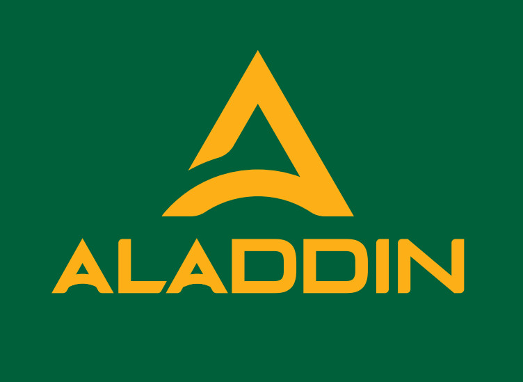 Chi Nhánh Công Ty CP Tầm Nhìn Quốc Tế Aladdin