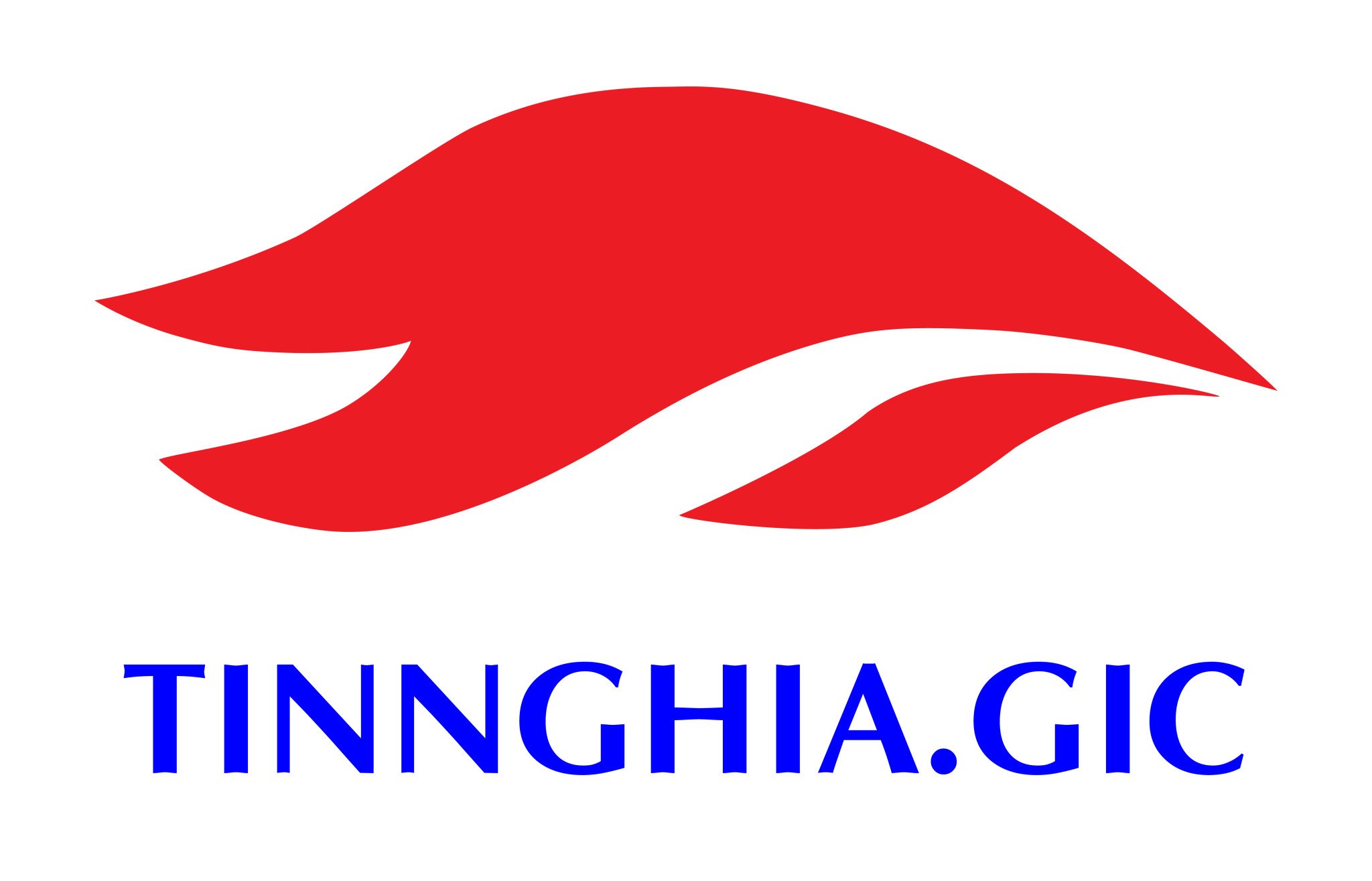 Công Ty TNHH Đầu Tư Tổng Hợp Tín Nghĩa