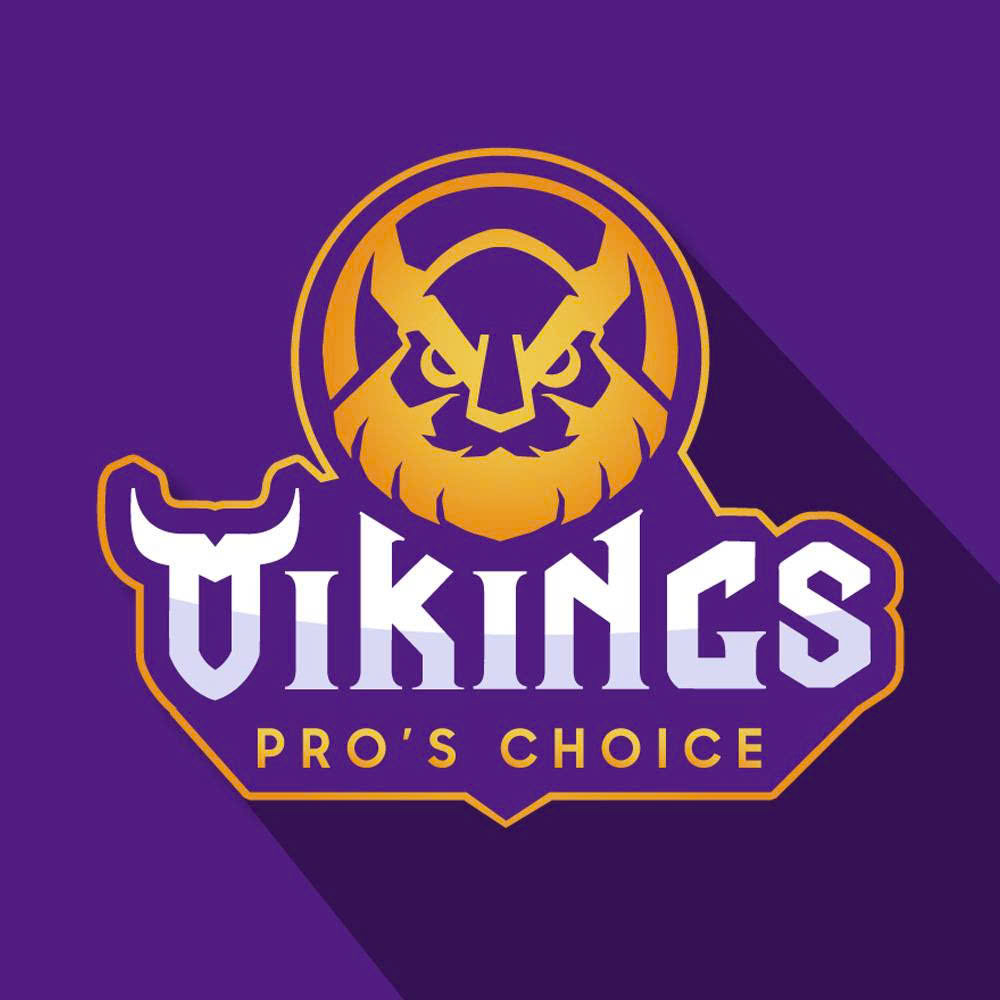 Công Ty Cổ Phần Vikings Việt Nam