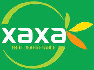 Công Ty TNHH Thương Mại Dịch Vụ Xaxa