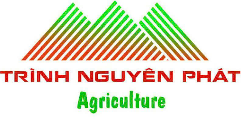 Công Ty Cổ Phần Trình Nguyên Phát - Chi Nhánh Bình Phước