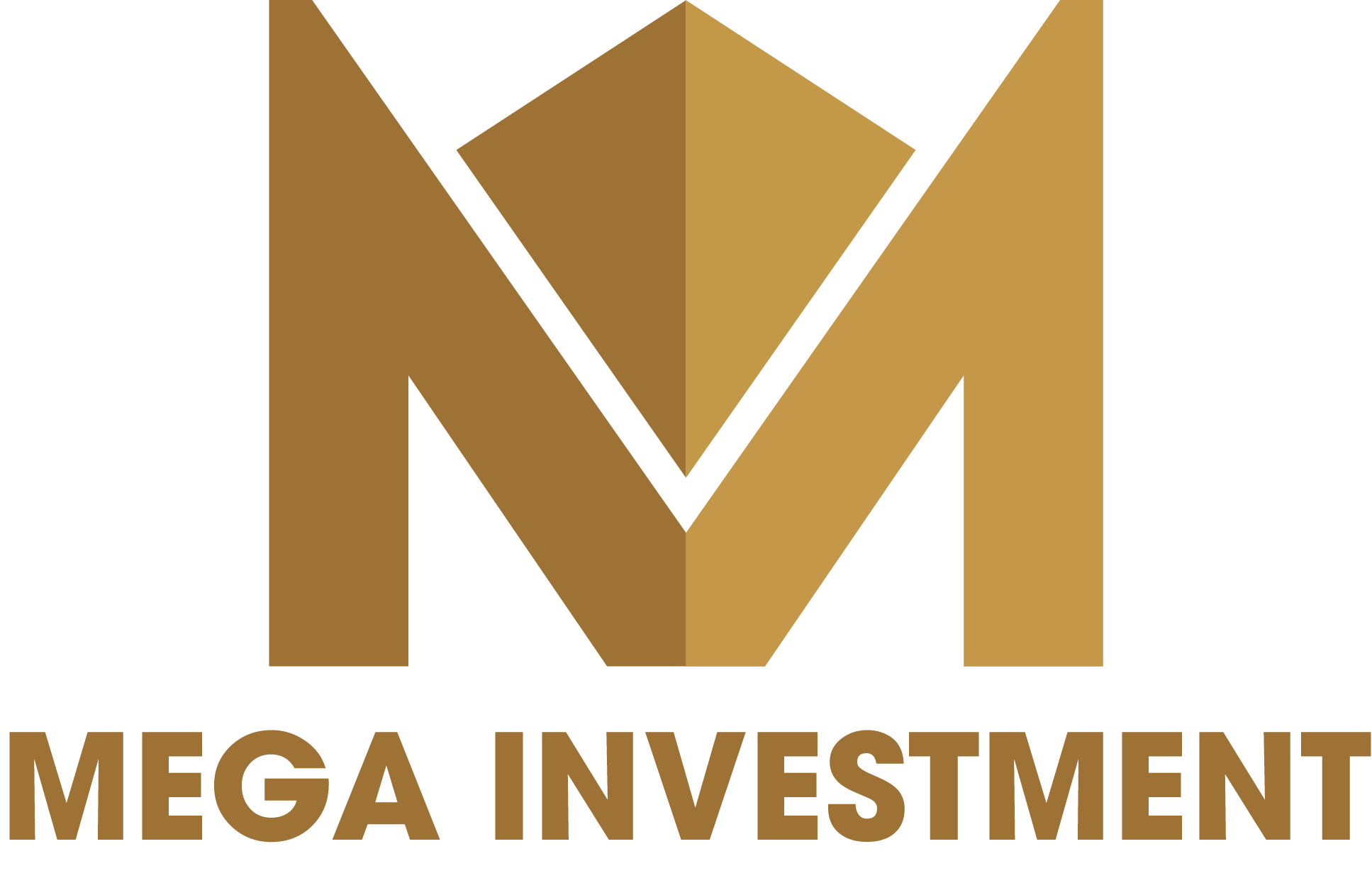 Công Ty Cổ Phần Đầu Tư Kinh Doanh Bất Động Sản Mega Investment