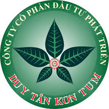 Công Ty Cổ Phần Đầu Tư Phát Triển Duy Tân