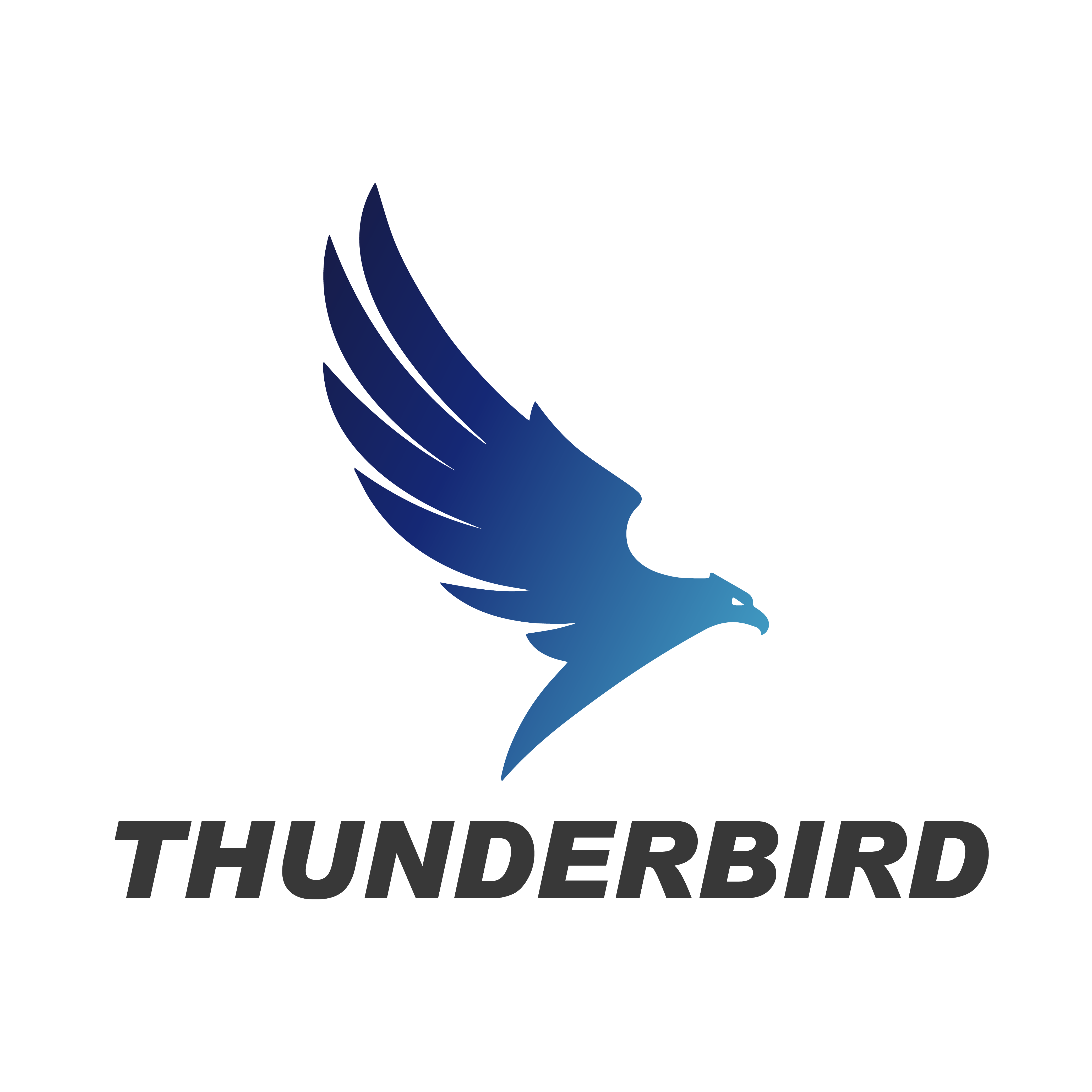 Công Ty TNHH Công Nghệ Thunderbird
