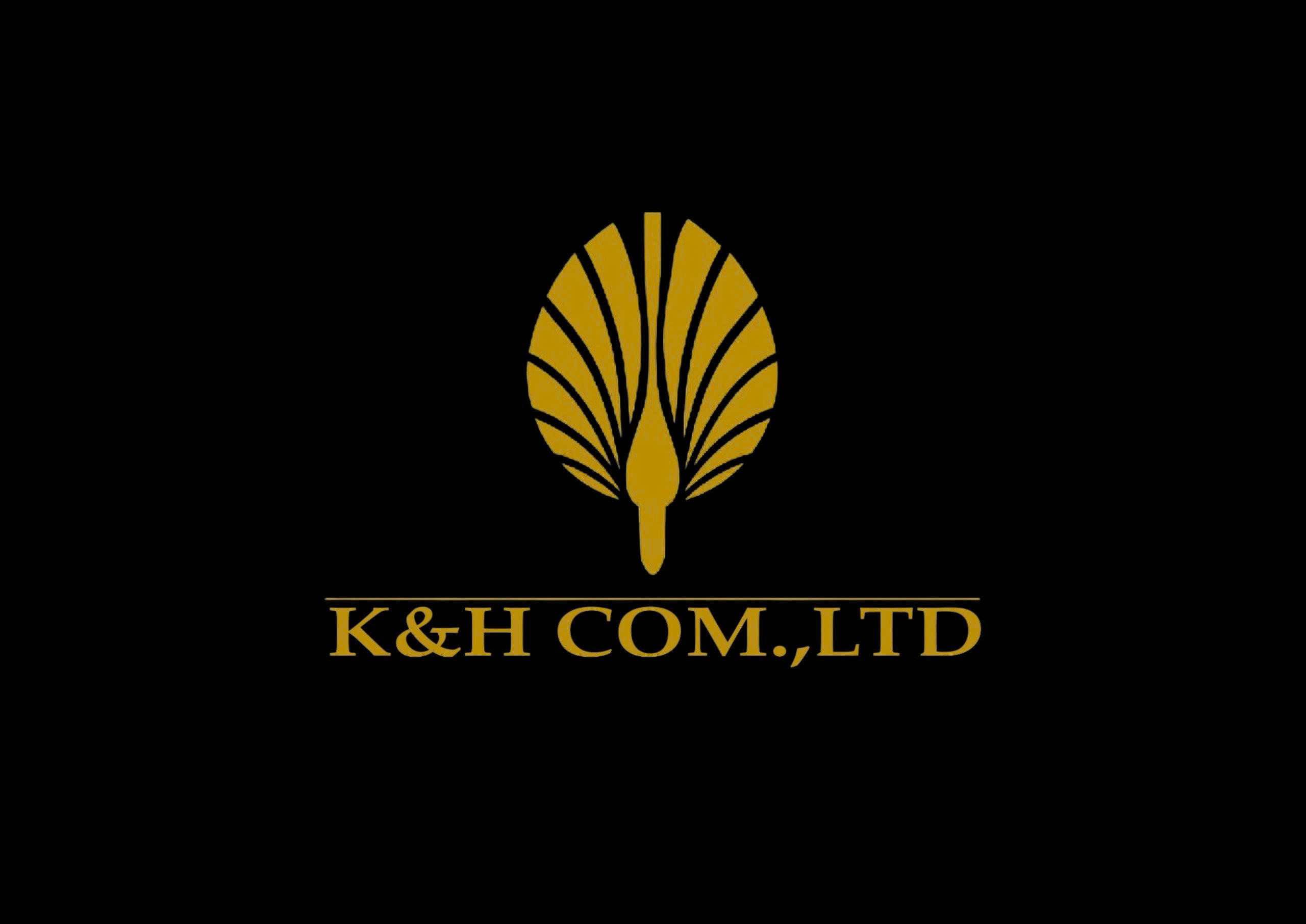 Công Ty TNHH Giải Trí K&h