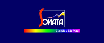 Công Ty Cổ Phần Sonata Việt Nam