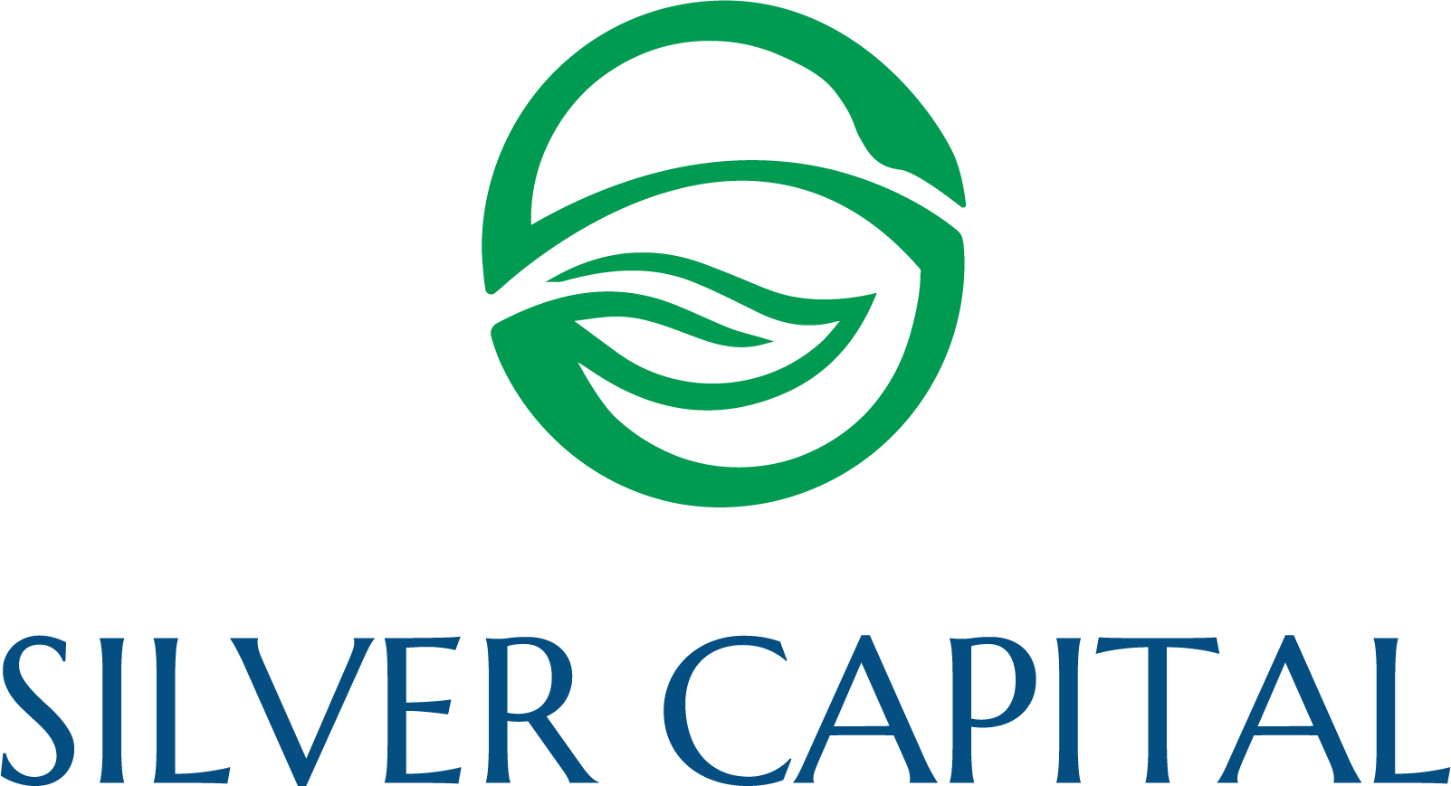 Công Ty TNHH Thương Mại Dịch Vụ Silver Capital