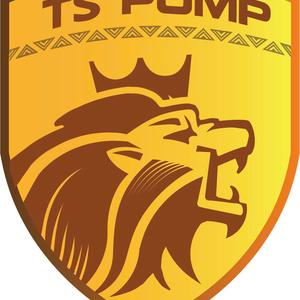 Logo Chế Tạo Bơm TS