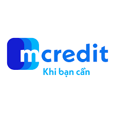 Công Ty Tài Chính Tín Dụng Tiêu Dùng Trách Nhiệm Hữu Hạn Mb Shinsei