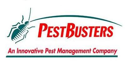 Công Ty TNHH Dịch Vụ Và Giải Pháp Lam Giang