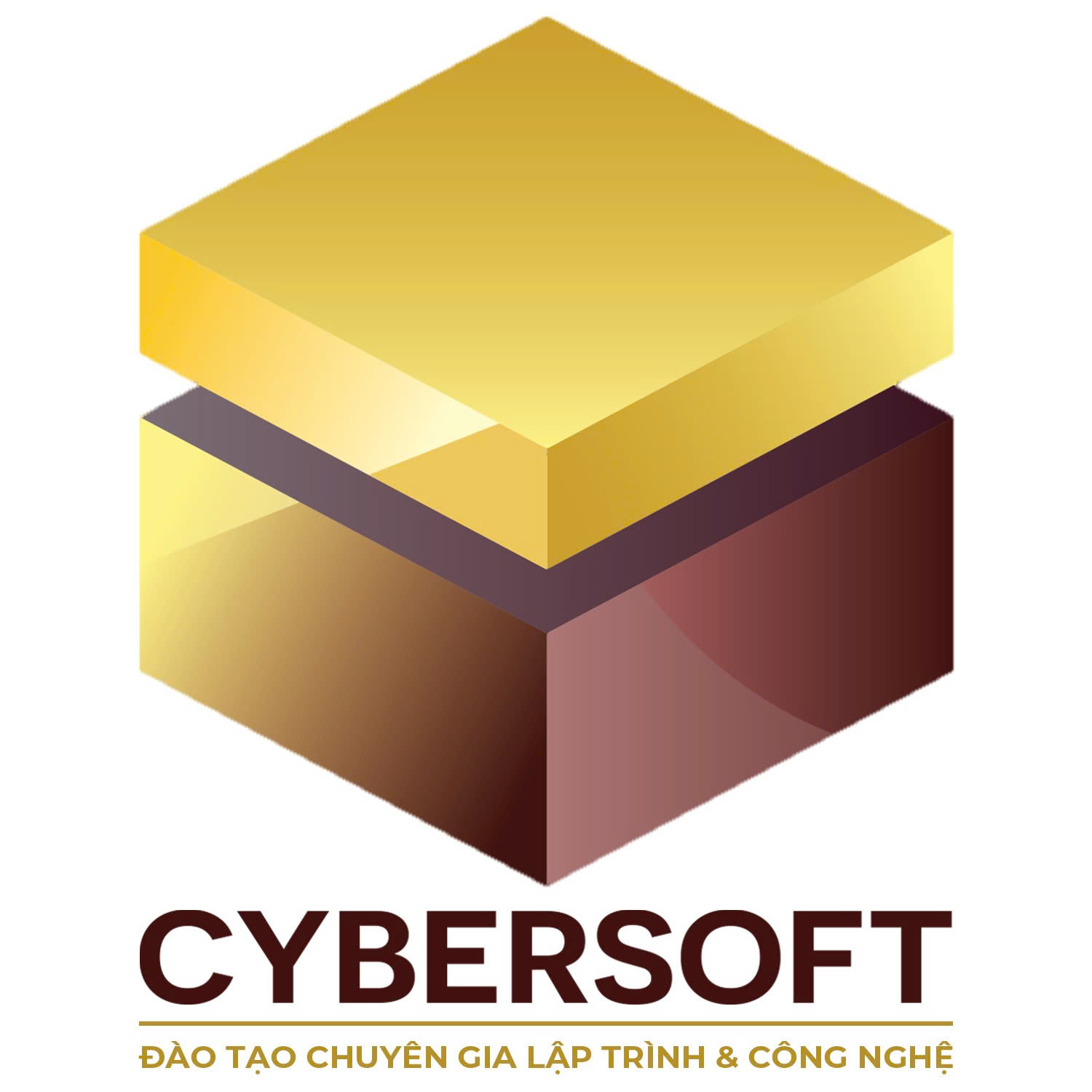 Công Ty TNHH Lập Trình & Công Nghệ Cybersoft
