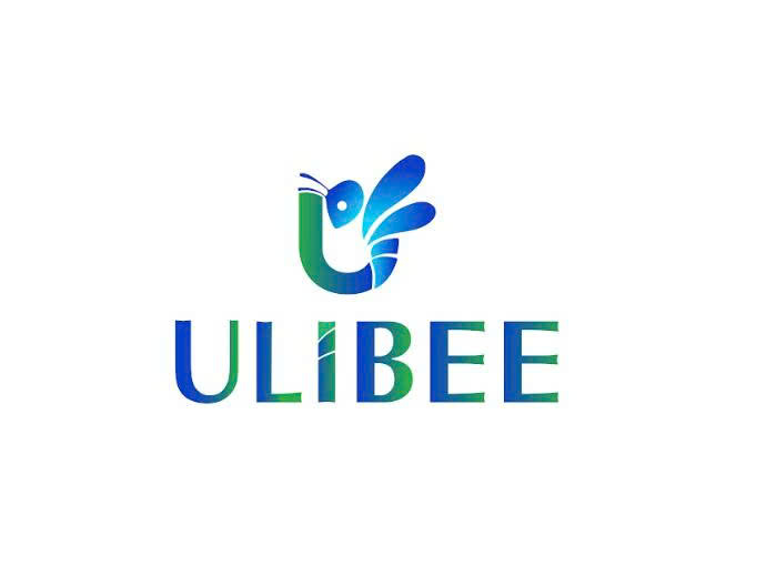Công Ty TNHH Ulibee Group