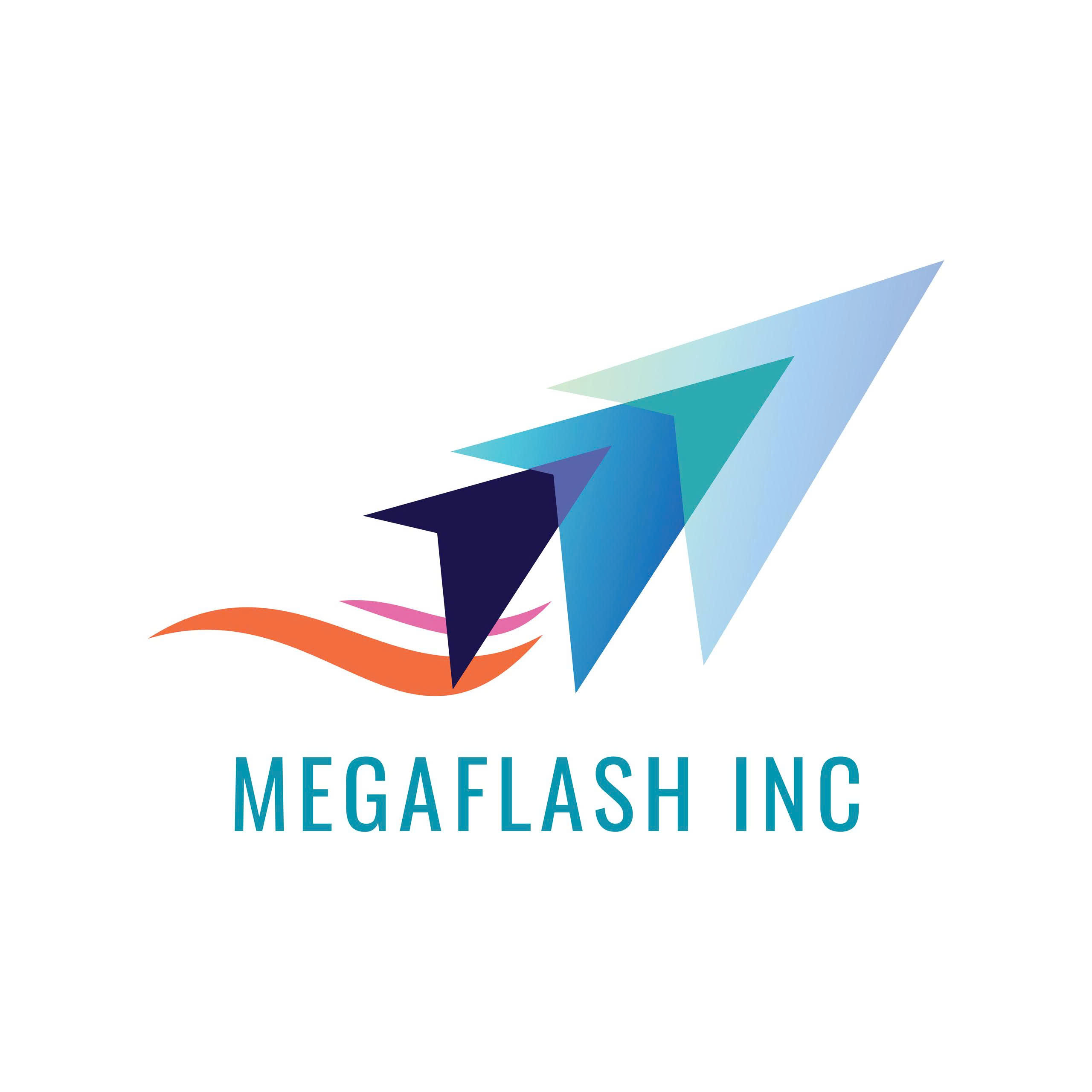 Công Ty TNHH Megaflash Inc