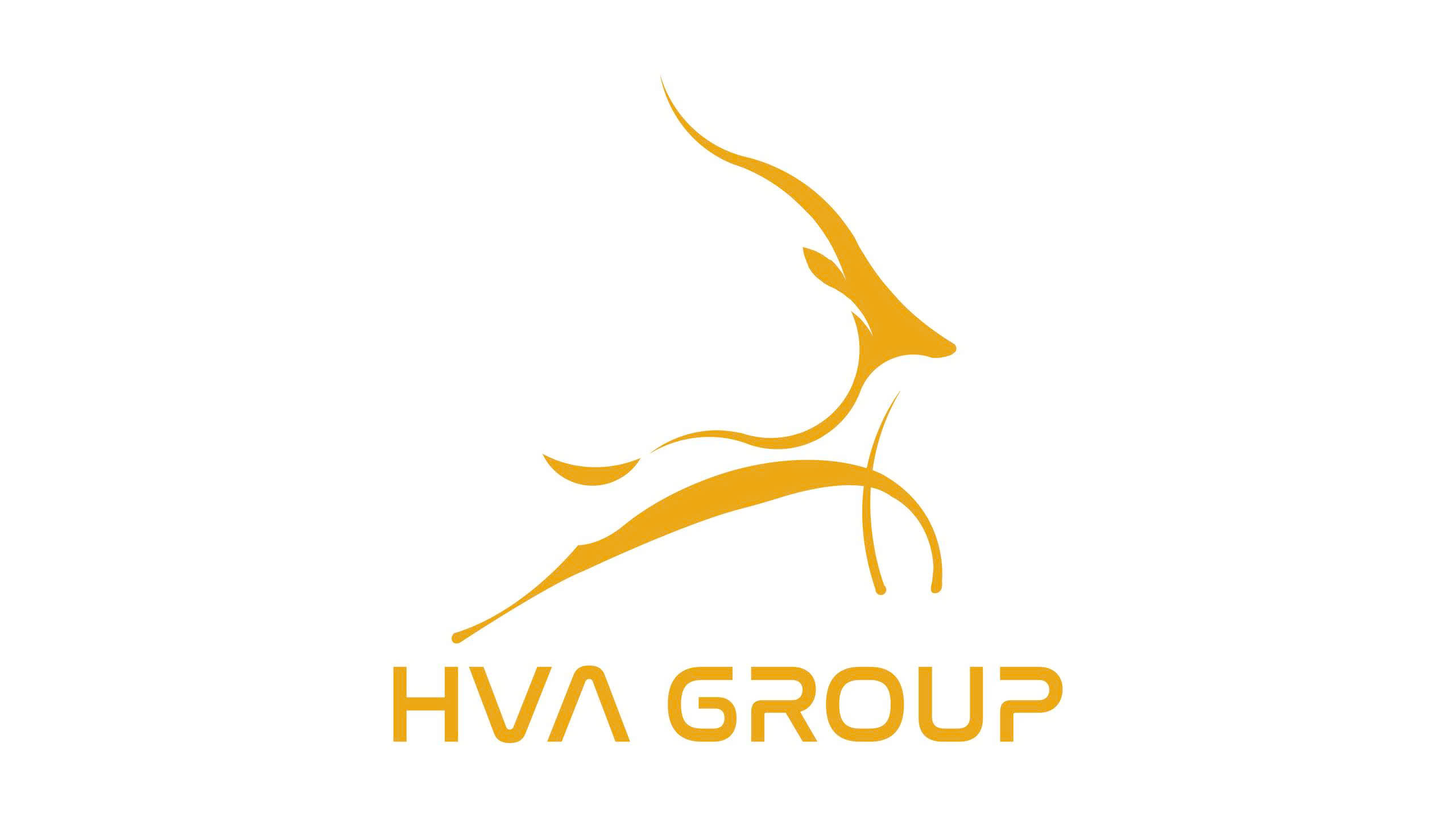 Công Ty Cổ Phần Đầu Tư Hva