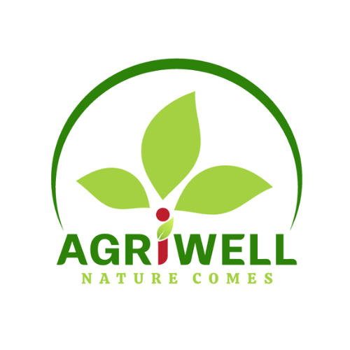 Searoad Co.,ltd - Công Ty TNHH Đường Biển