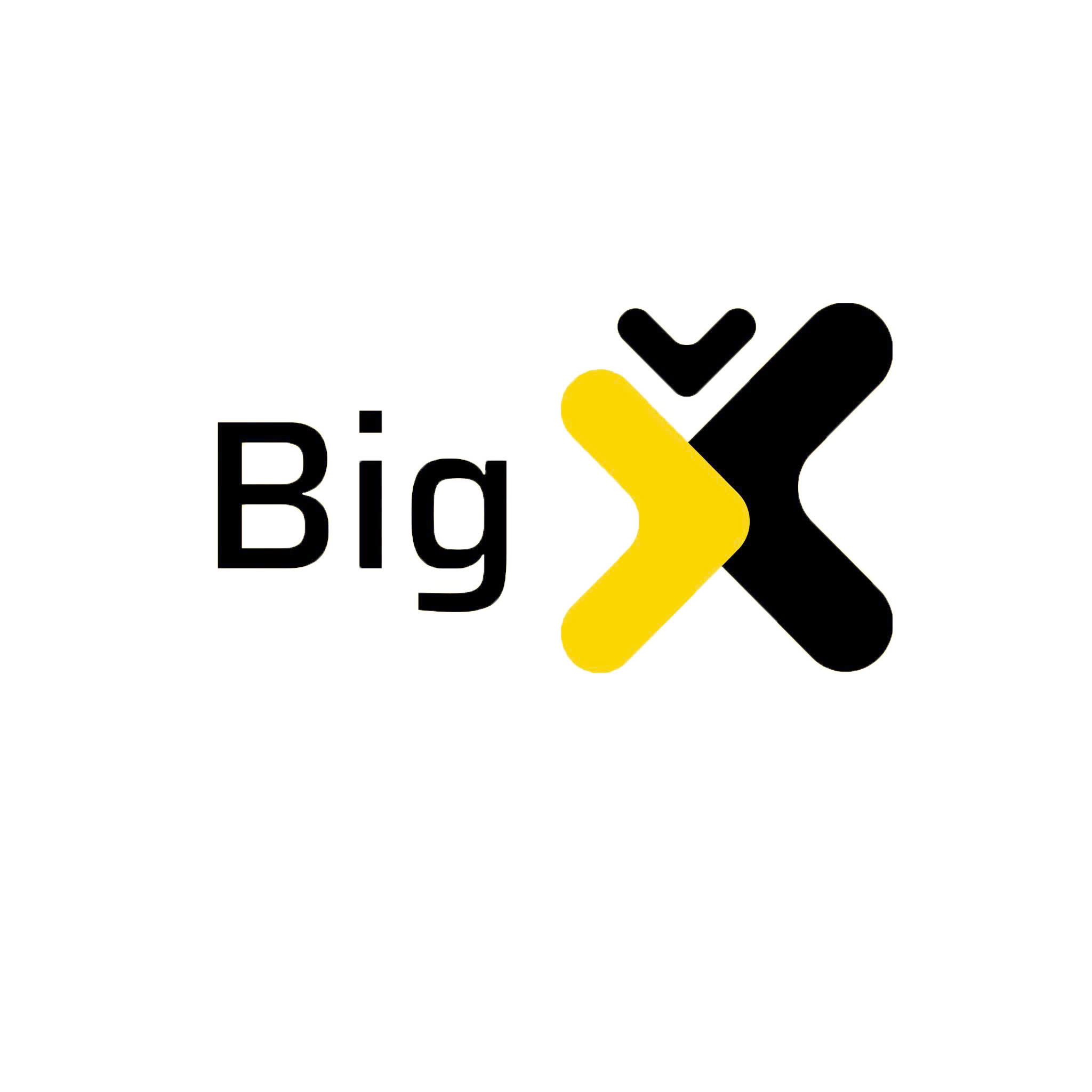 Công Ty Cổ Phần Thương Mại Và Quảng Cáo Bigx