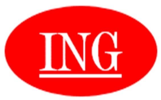 Công Ty TNHH Ing Vina