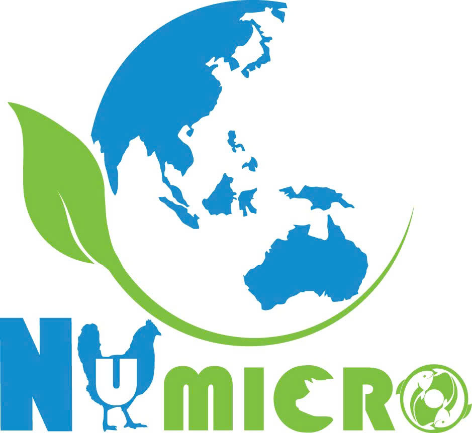 Công Ty TNHH Sản Xuất Và Thương Mại Numicro