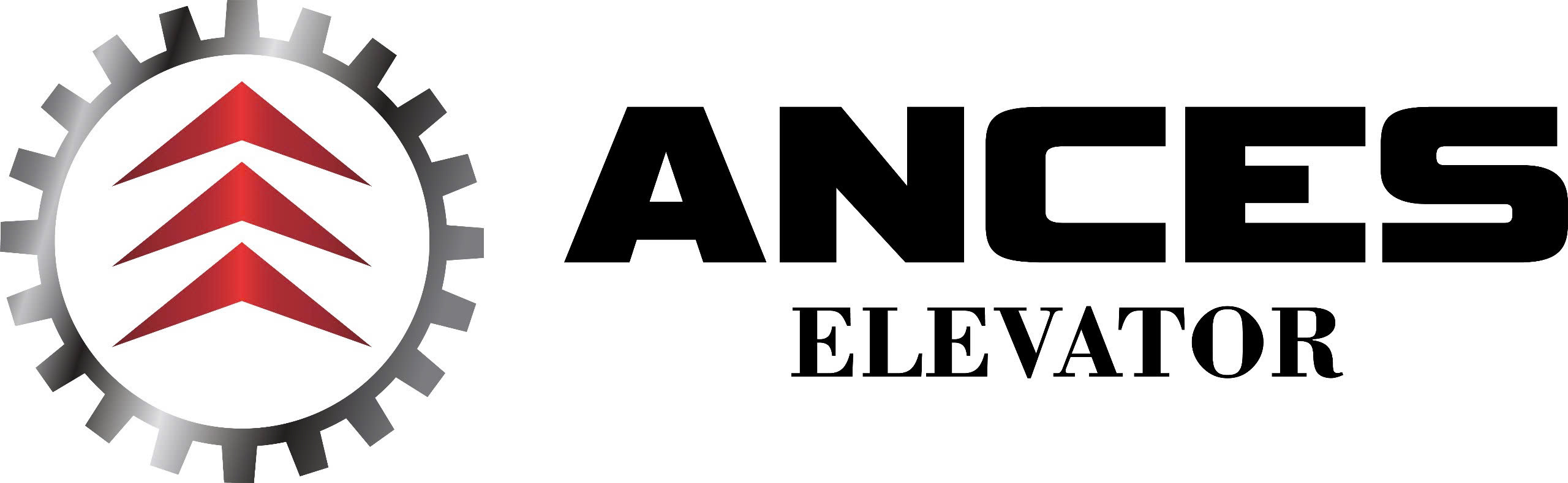 Công Ty TNHH Ances Việt Nam